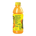 Frooti Bottle 300ml