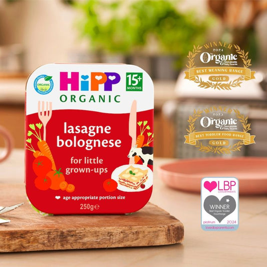 Hipp Organic Lasagne Bolognese Meal 15+ Months Meal 250G