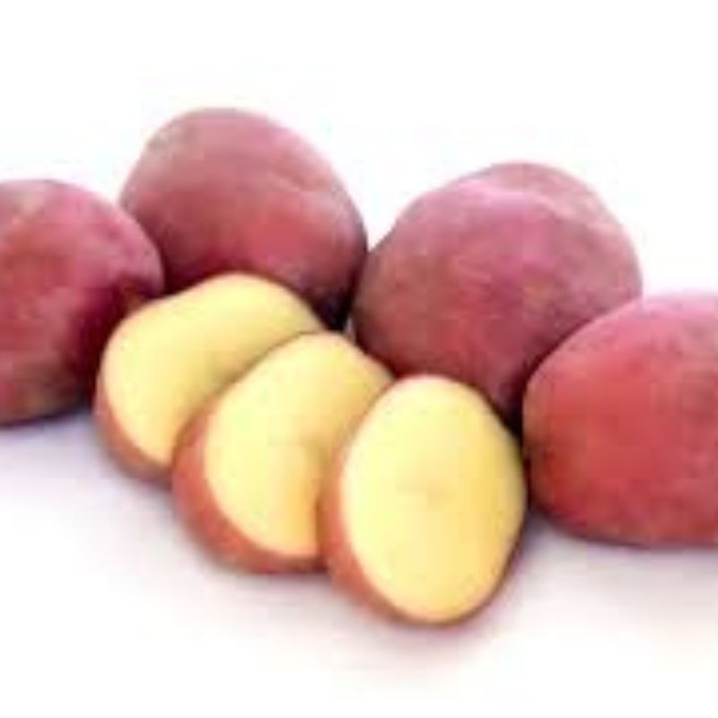 Desiree seeds & cereal Potato