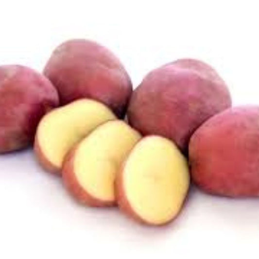 Desiree seeds & cereal Potato
