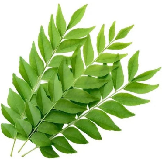 Pre Packed Curry Leaves