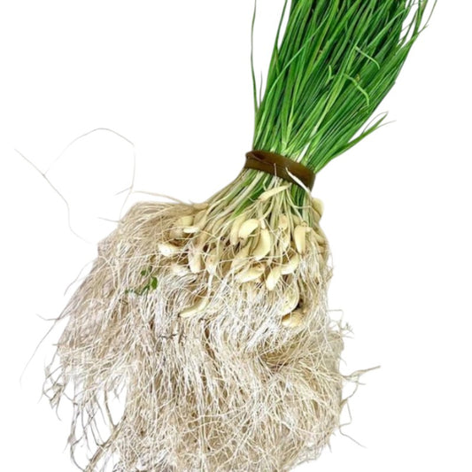 Indian Green Garlic (Lilu Lasan)