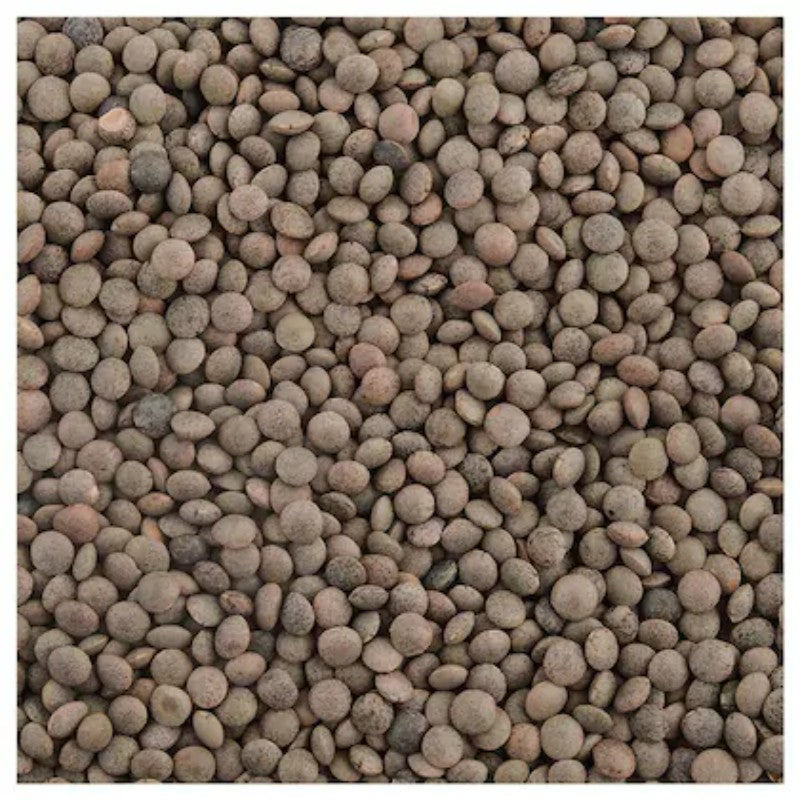 Whole Masoor (Masoor Dal)