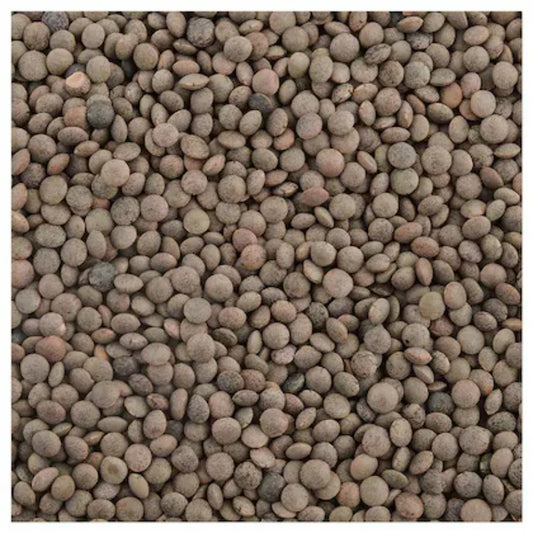 Whole Masoor (Masoor Dal)