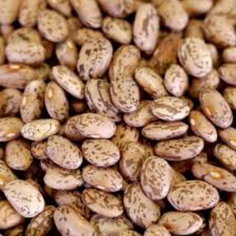 Pinto Beans (Pinto Rajma)