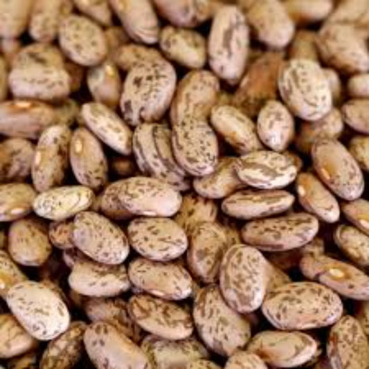 Pinto Beans (Pinto Rajma)