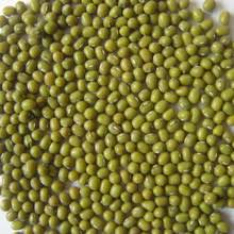 Green Lentil (Sabut Hari Masoor Dal)