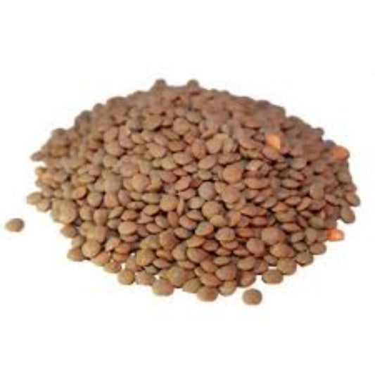 Brown Lentils (Whole Brown Masoor Dal)