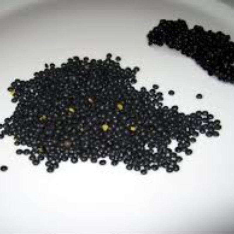 Black Lentils (Urad Dal)