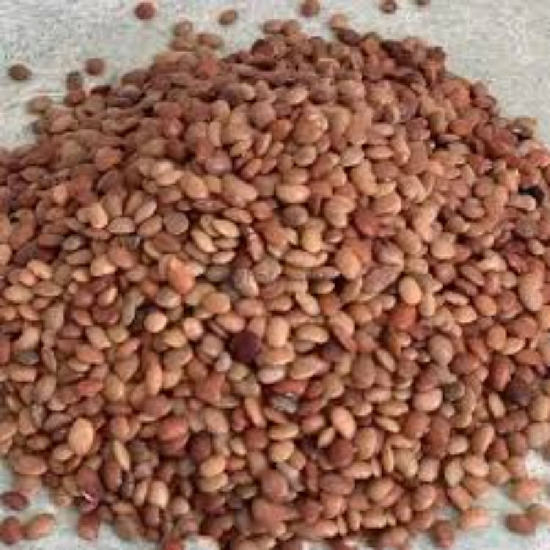 Horse Gram (Kulthi Dal / Gahat)