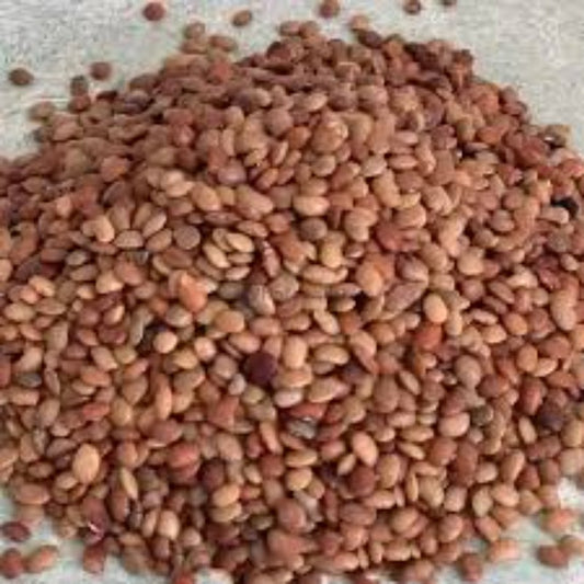 Horse Gram (Kulthi Dal / Gahat)