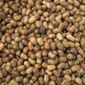 Matki Dal (Moth Beans)