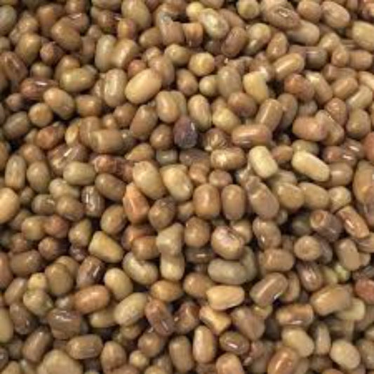 Matki Dal (Moth Beans)