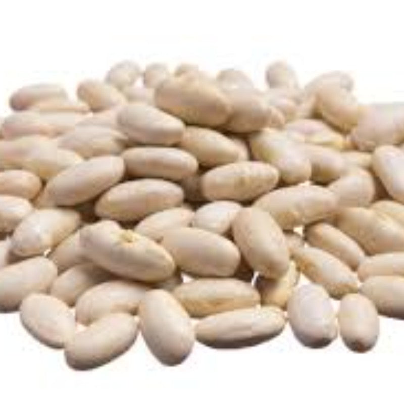 Navy Beans (White Rajma)